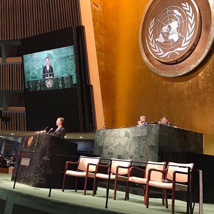 2017_Discorso alle Nazioni Unite